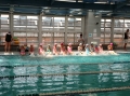 106學年游泳教學  (106學年游泳教學)